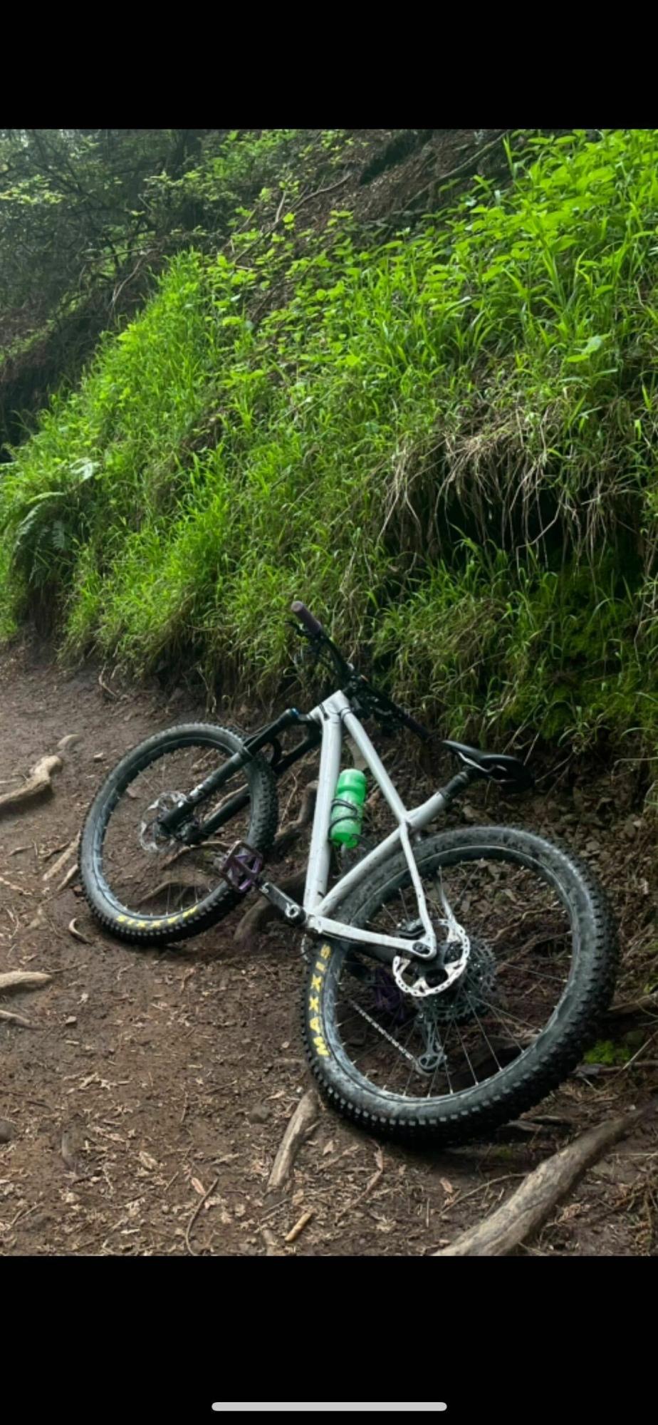 2019 Specialized Fuse Silver, gray or bare metal
