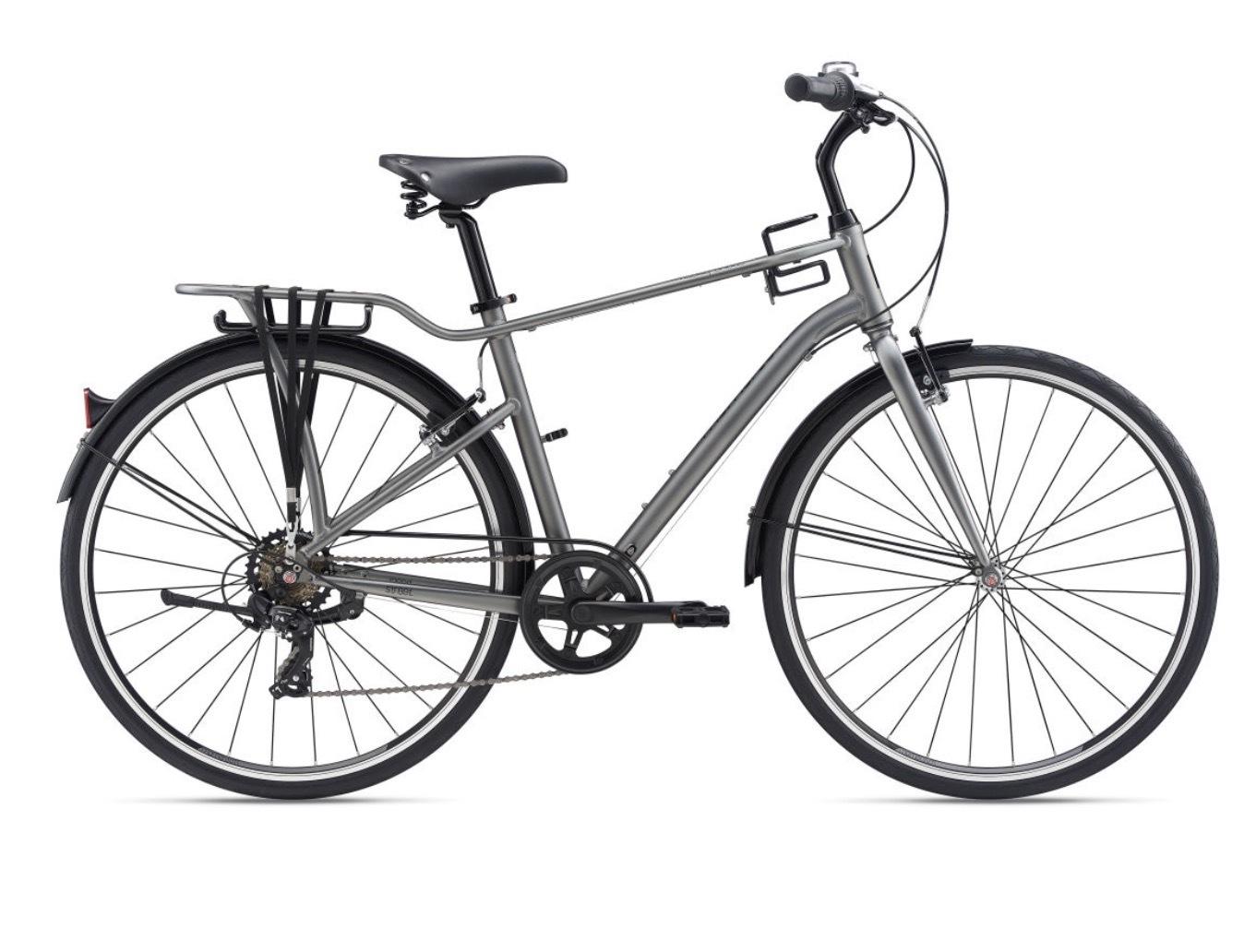 2024 Giant Momentum Silver, gray or bare metal