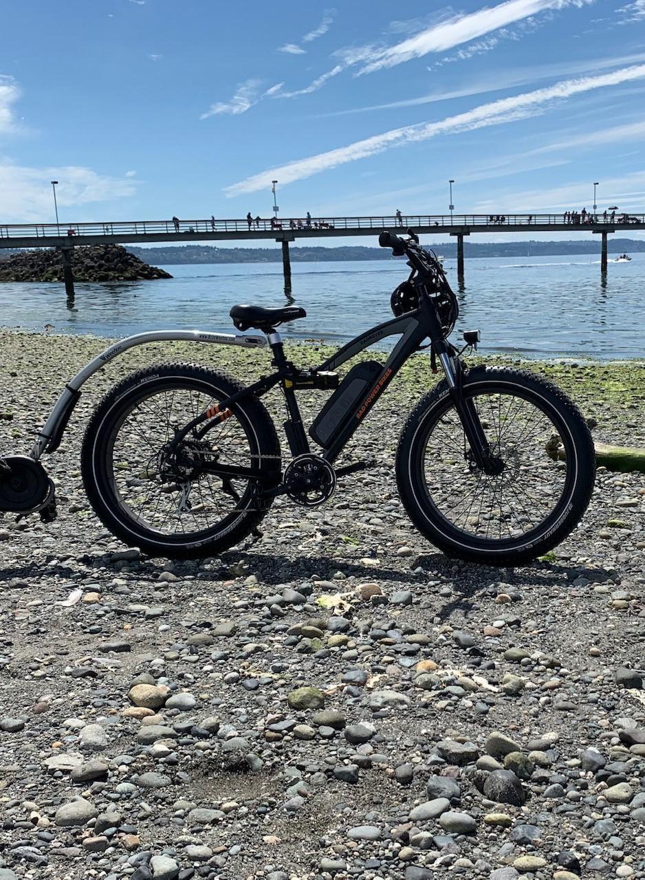 2019 Rad Power Bikes Rad Rover, large tire Black