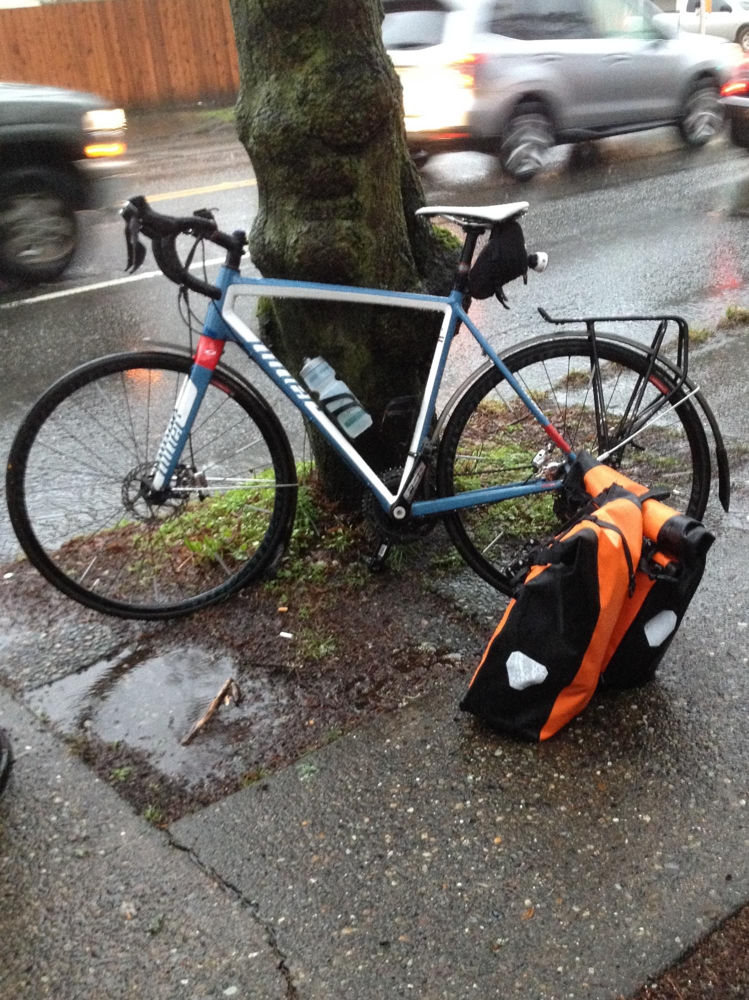 2016 Niner RLT Blue and White