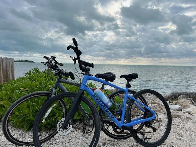 2021 Specialized Sirrus x4.0 Blue