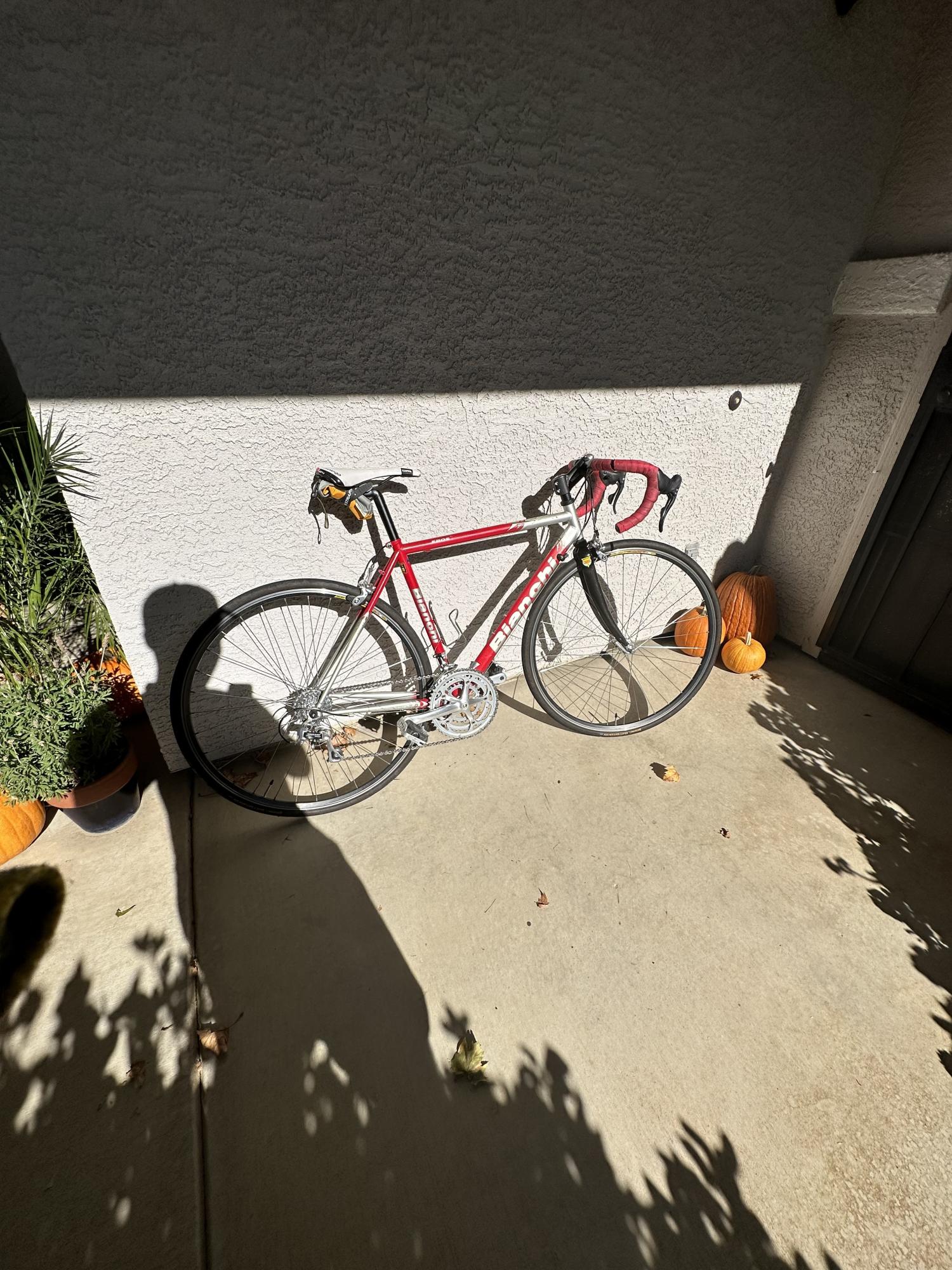 Bianchi Eros Red and Silver, gray or bare metal