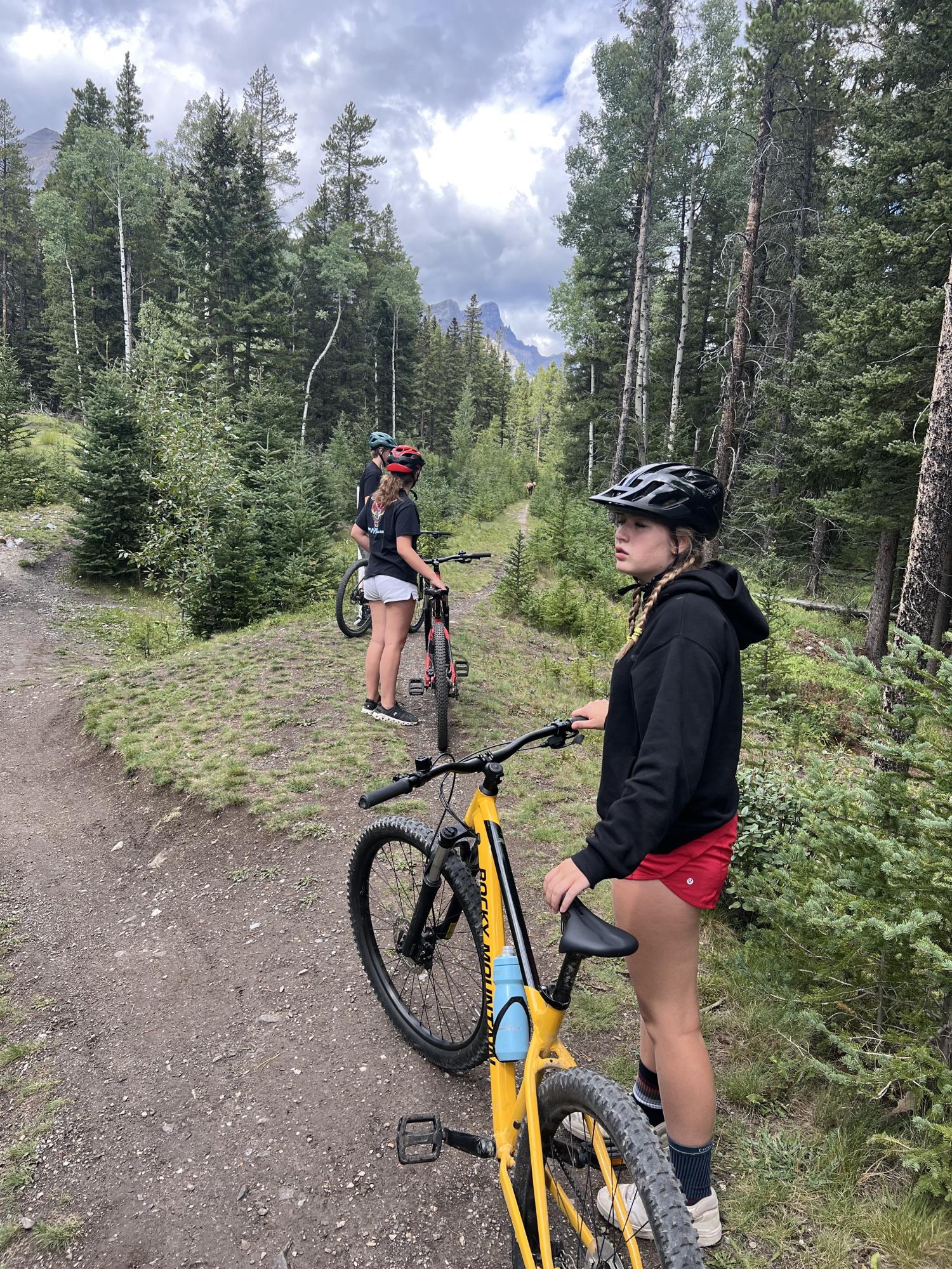 2024 Rocky Mountain Bicycles Soul Yellow or Gold and Black