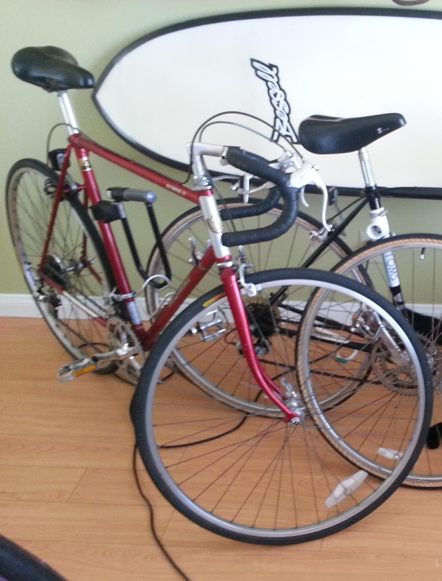 1979 Nishiki Prestige (I think)  Red and Black