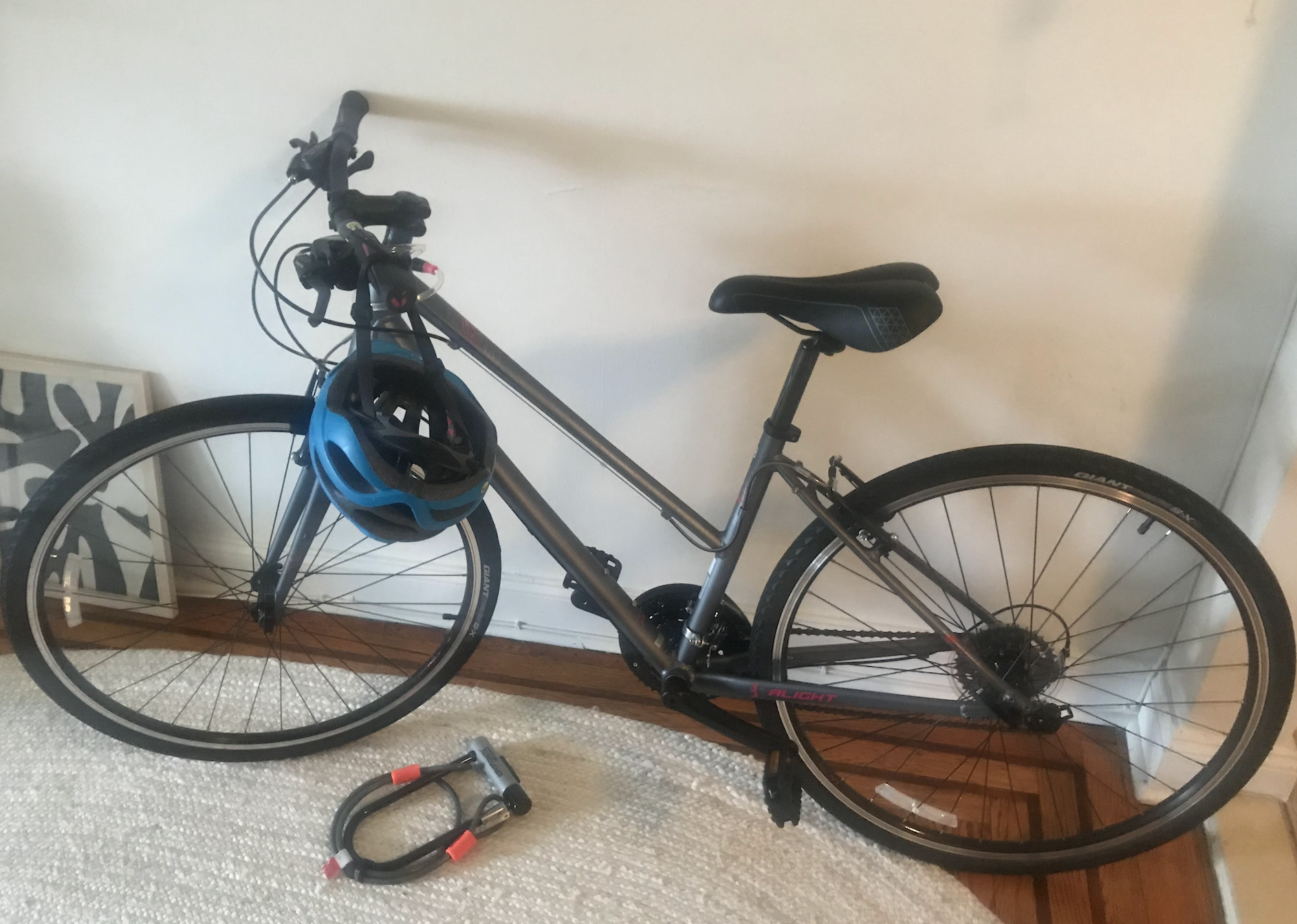 2019 Liv 2019 Liv Alight 3 Womens Hybrid bike ... Silver, gray or bare metal