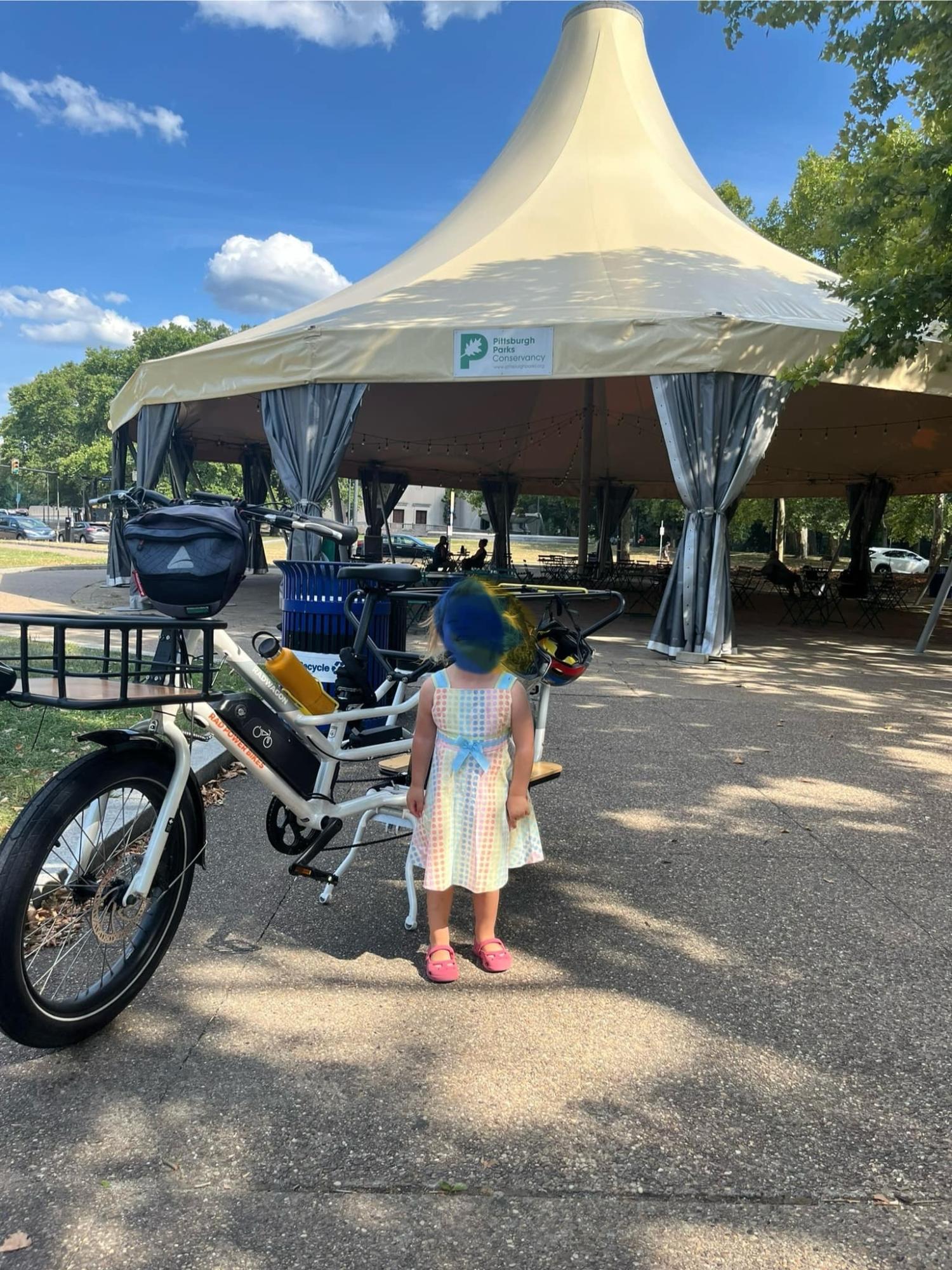2024 Rad Power Bikes Radwagon White