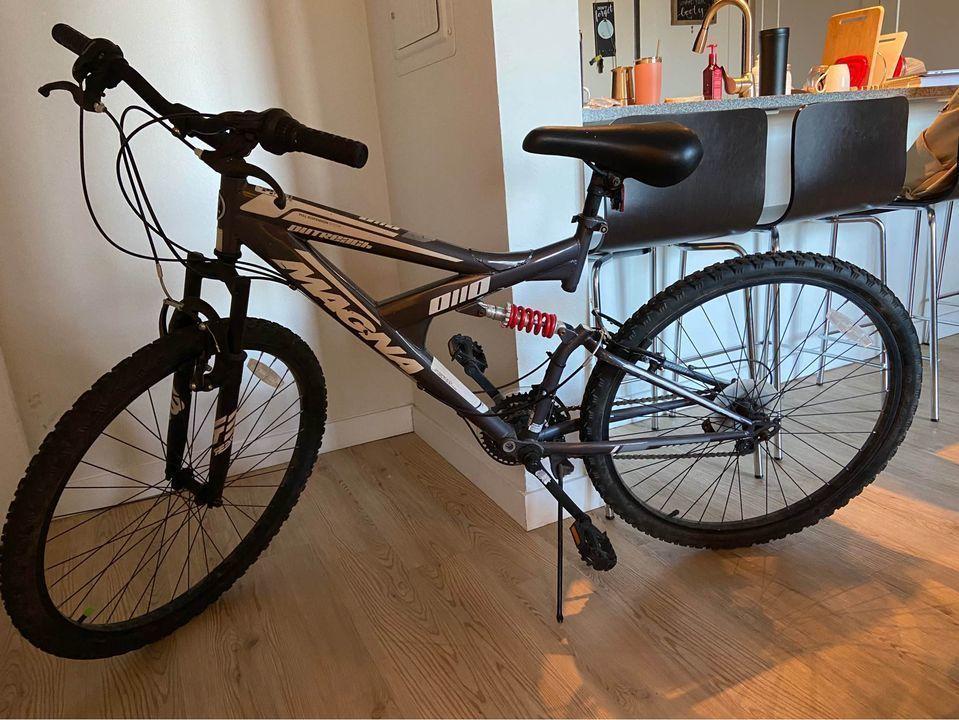 Magna Duo Silver, gray or bare metal