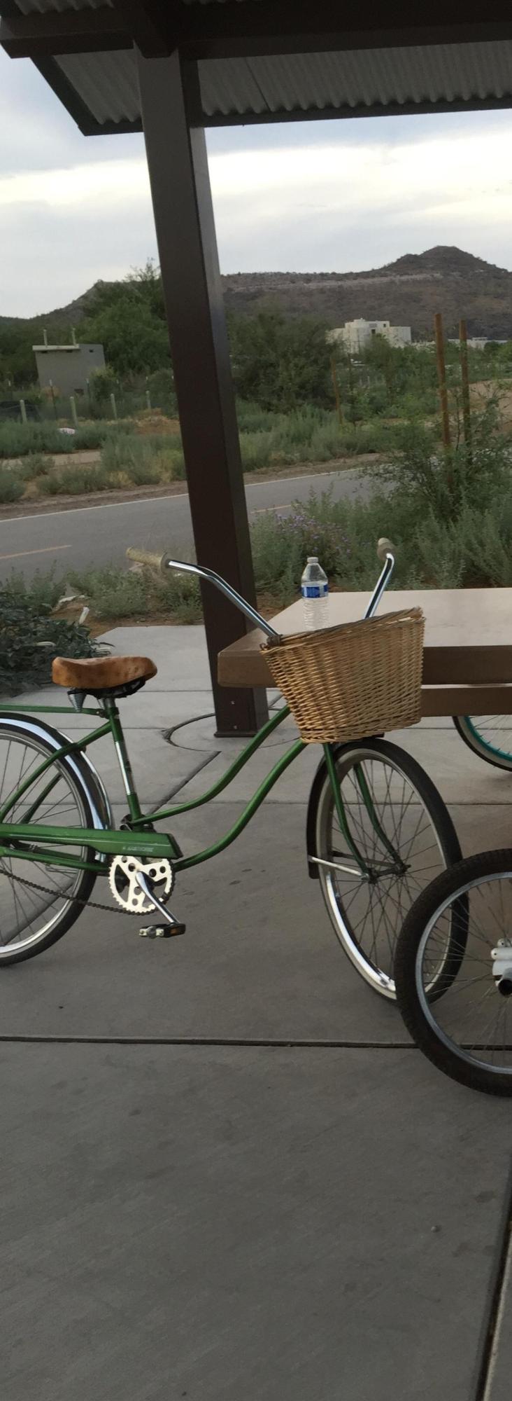 1960 Montgomery wards hawthorne Green