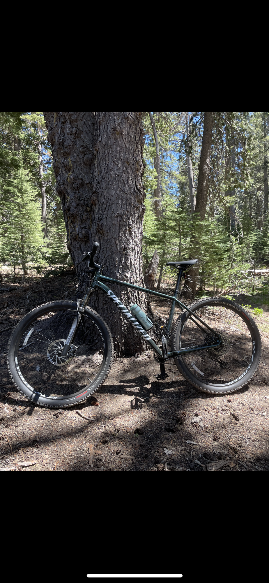 2020 Specialized Rockhopper Expert 29 Green