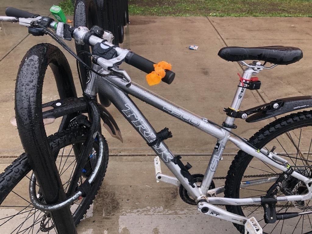 Trek 4300 Silver, gray or bare metal