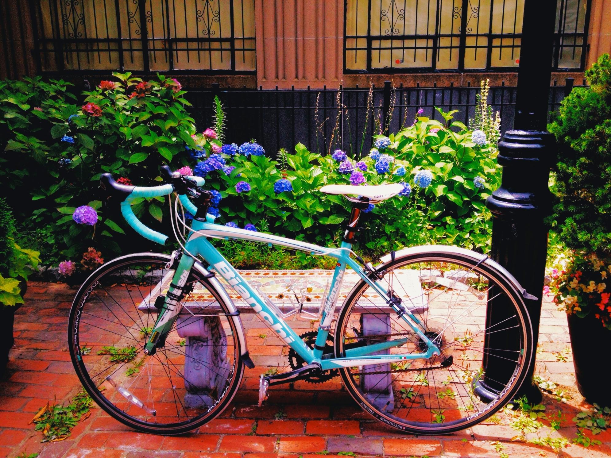 2012 Bianchi Impulso 105  Blue
