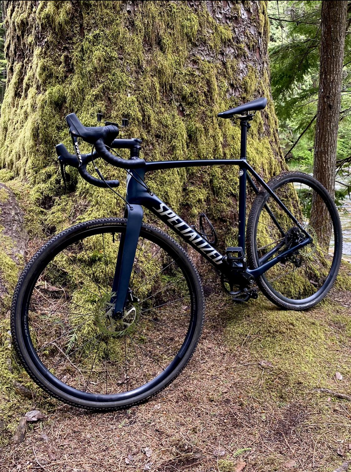 2020 Specialized Crux Silver, gray or bare metal