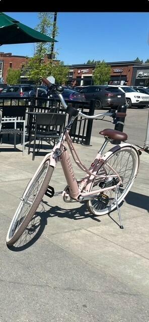 2025 Electra loft go Pink