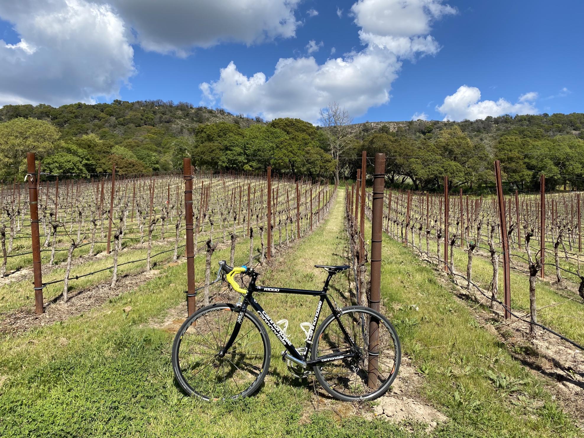 Cannondale R1000 Black