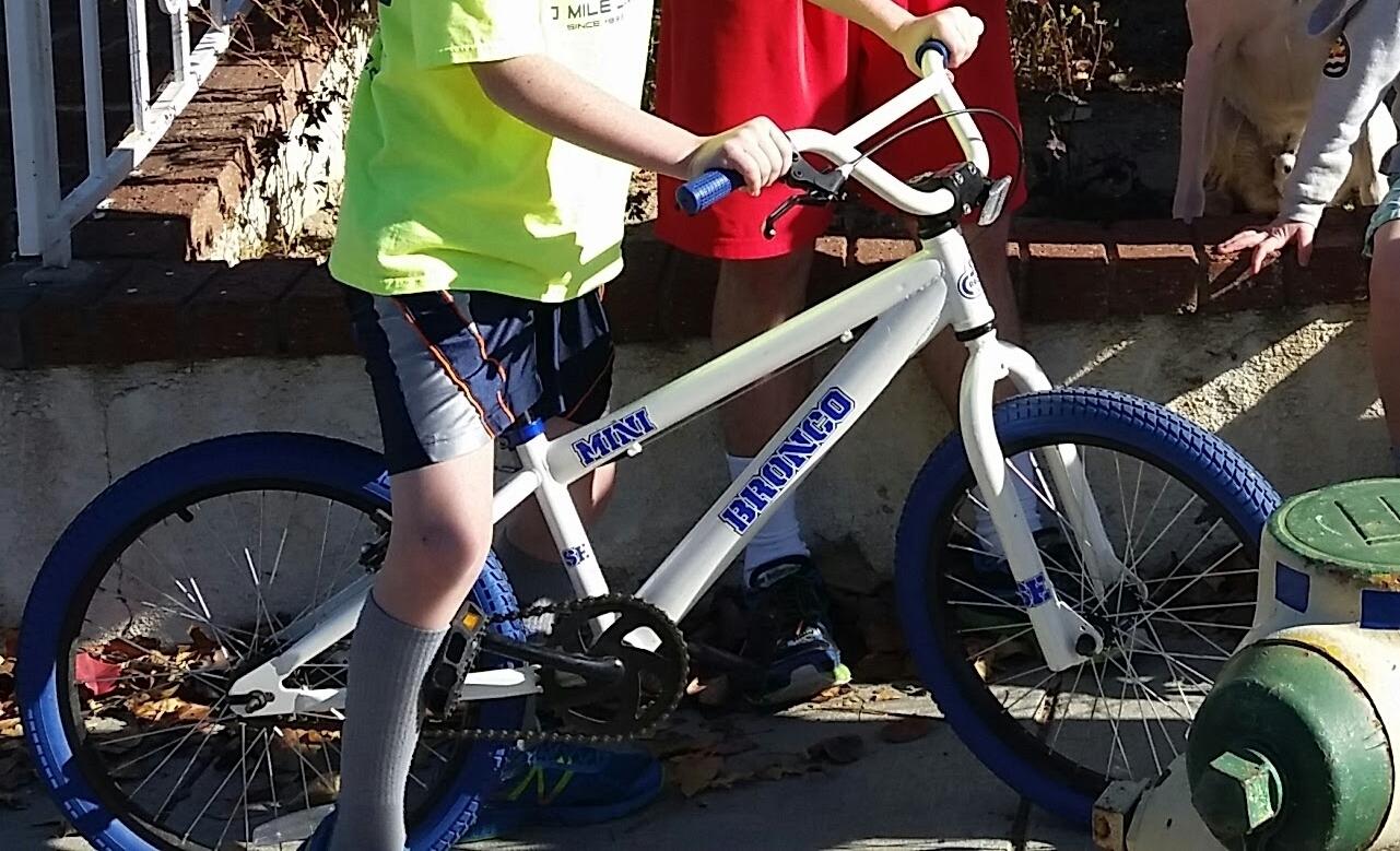 2016 SE Bikes 18 White