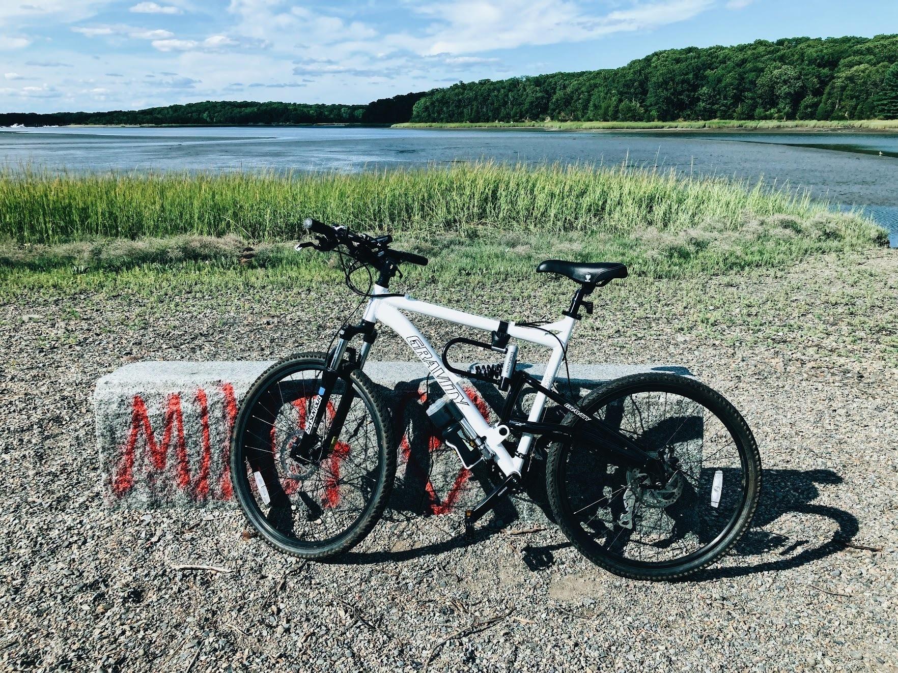 2019 Gravity FSX 1.0 White