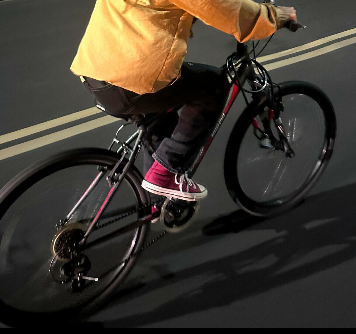Nishiki Silver, gray or bare metal