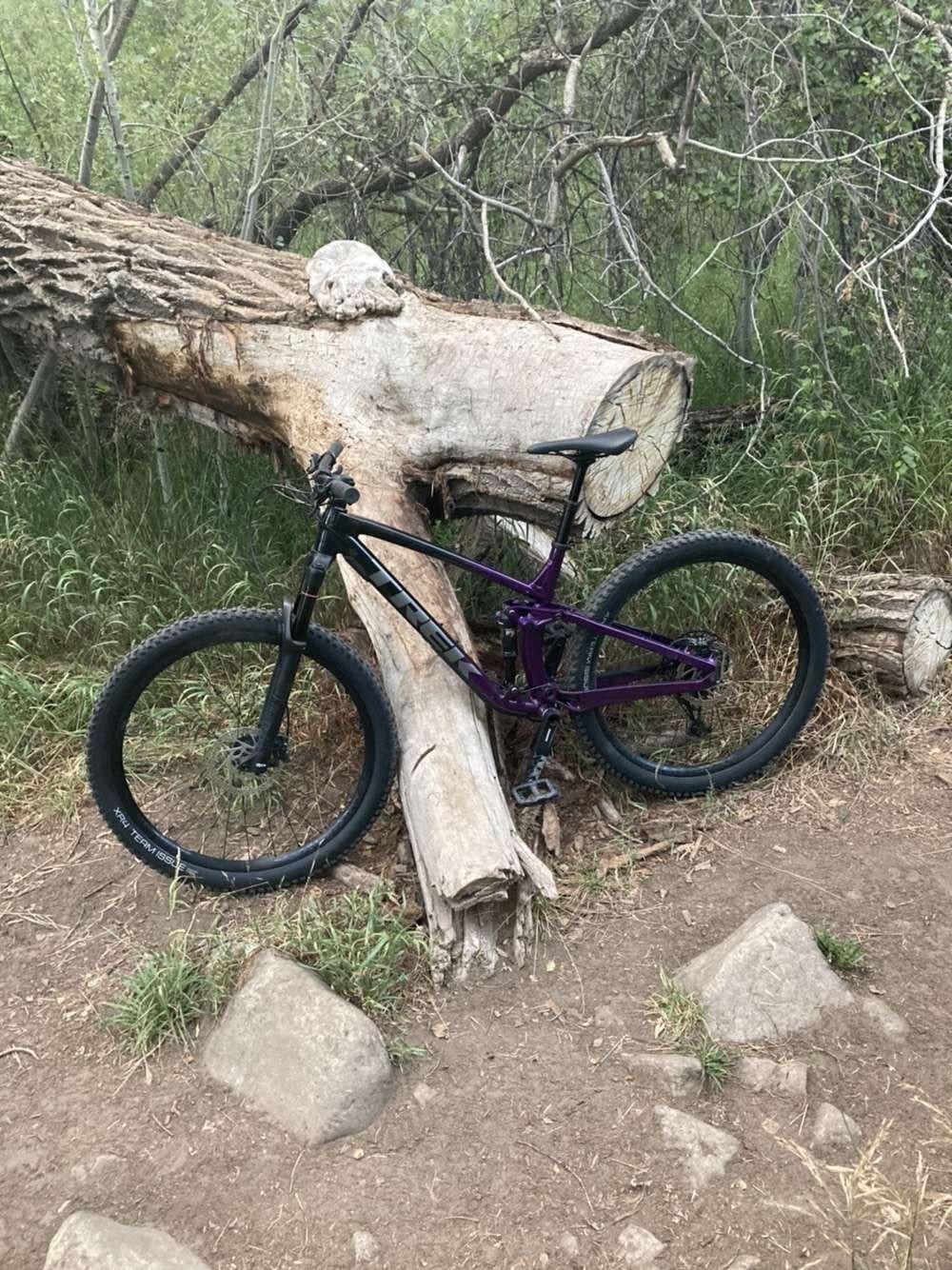 2020 Trek FUEL EX5 Purple and Black