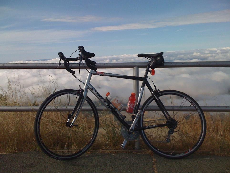 2008 Trek Pilot 2.1  Black