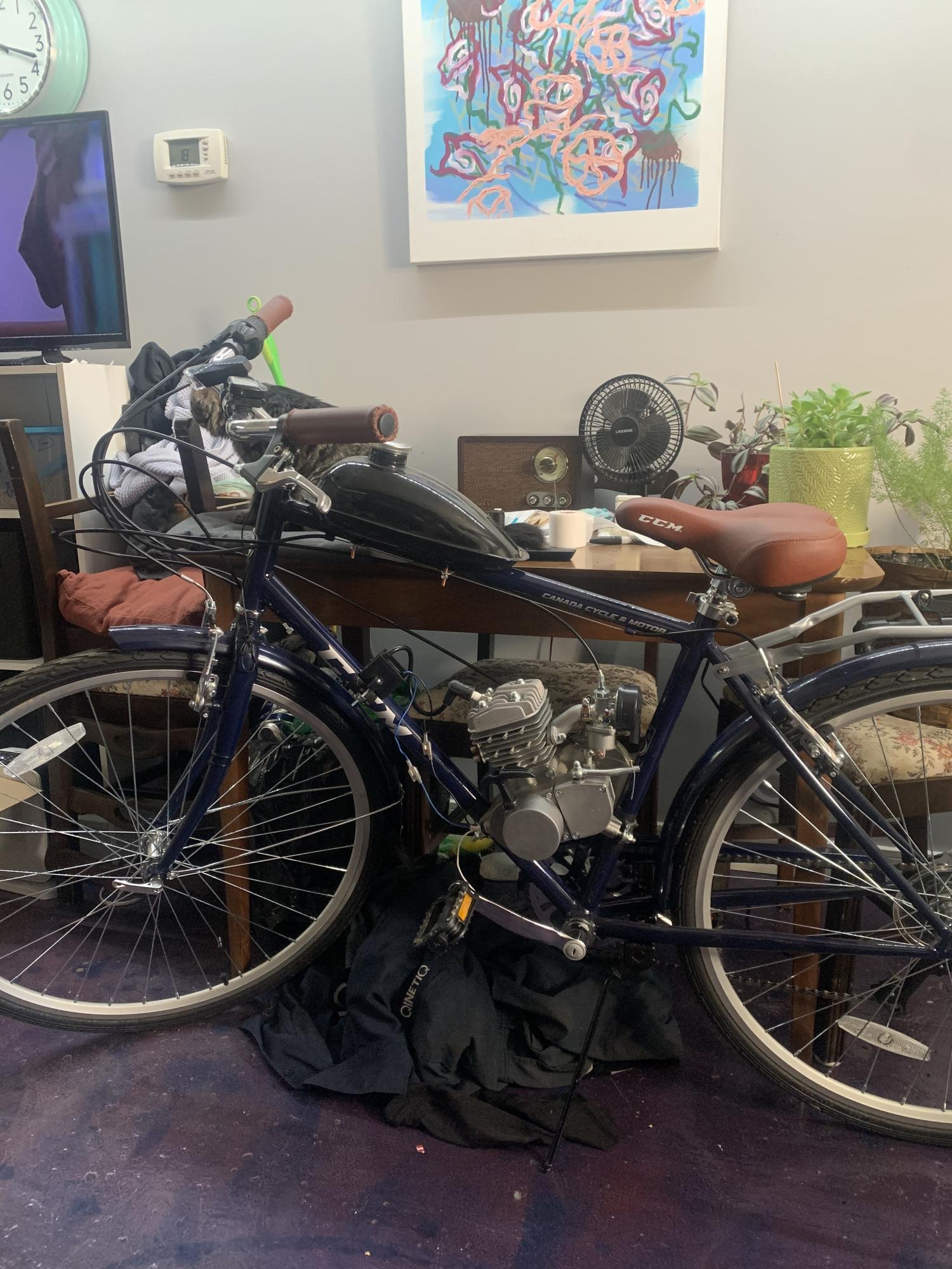 CCM Munich Blue and Brown