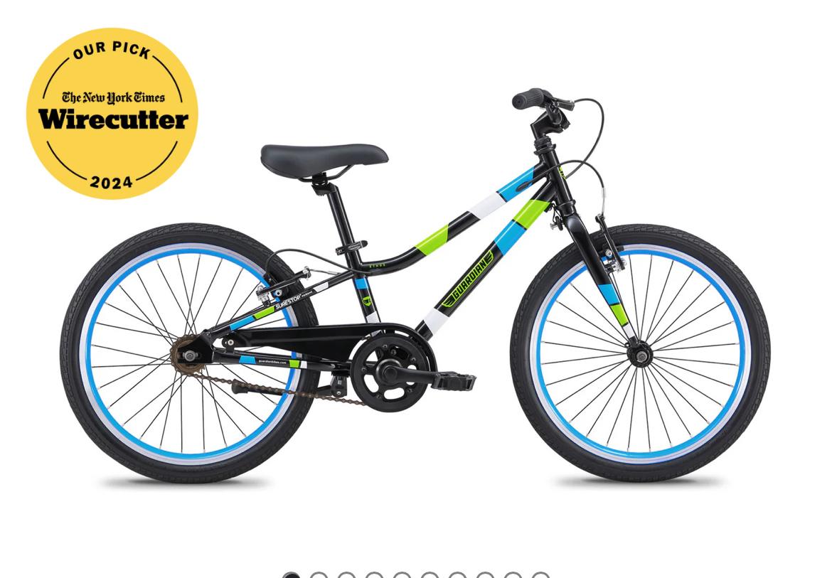 2024 Guardian 20” Black, Blue, and Green