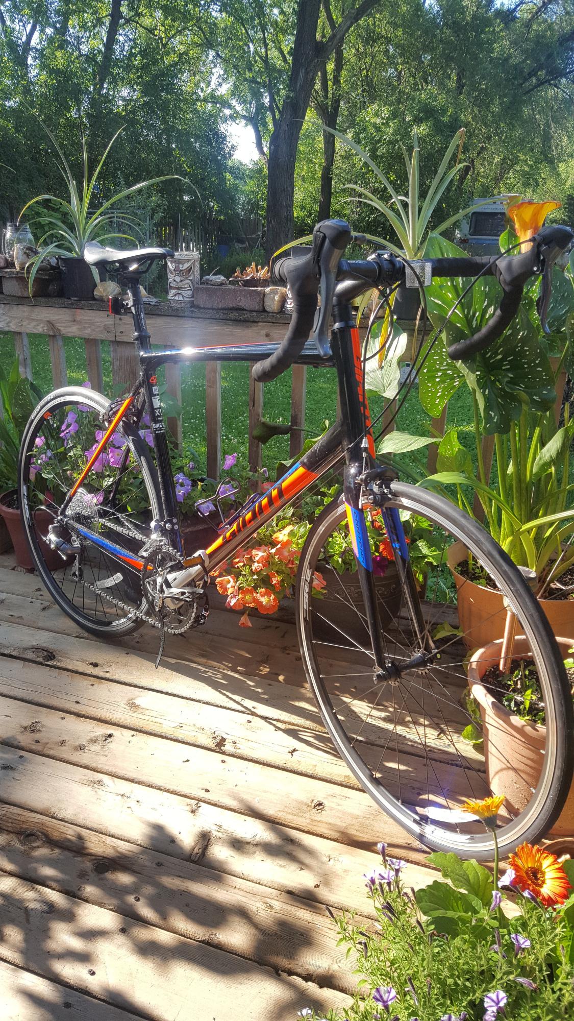 2018 Giant Contend 1 Black, Orange, and Blue