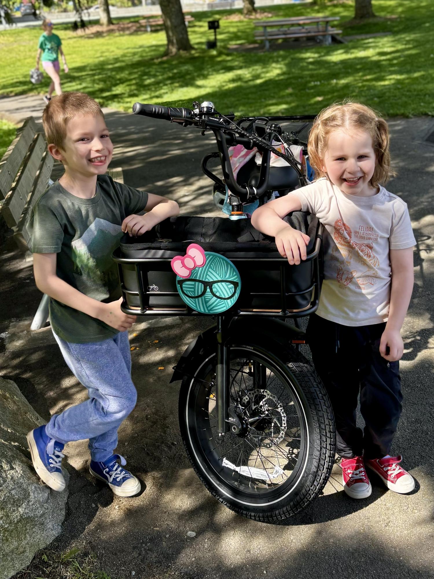 2024 Rad Power Bikes RadWagon 5 Blue