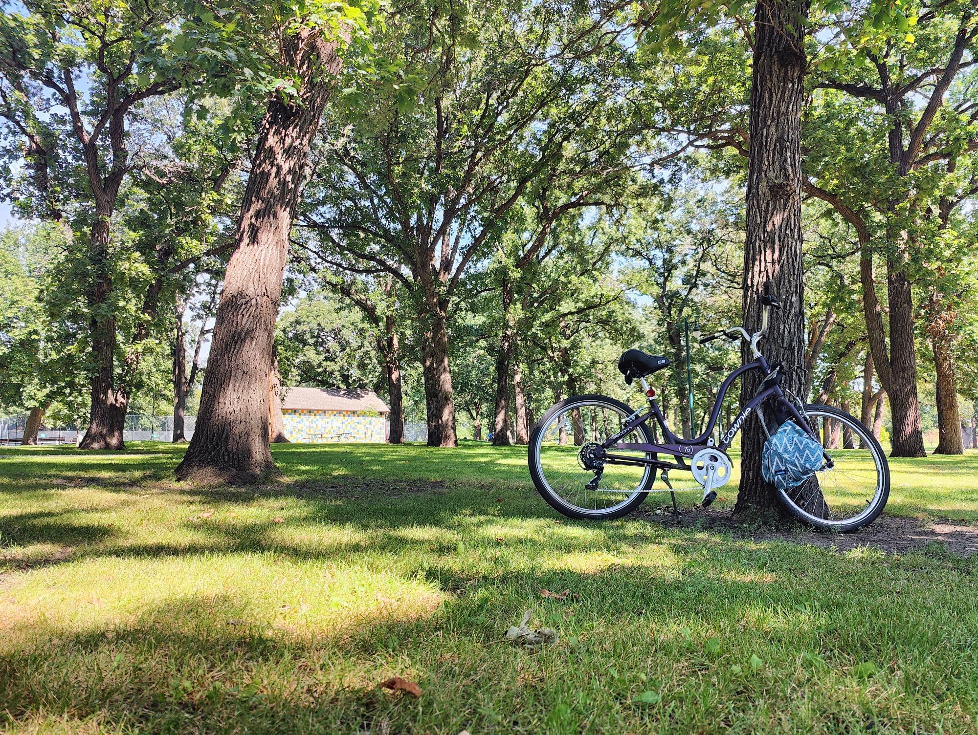 Electra Townie 7D Purple