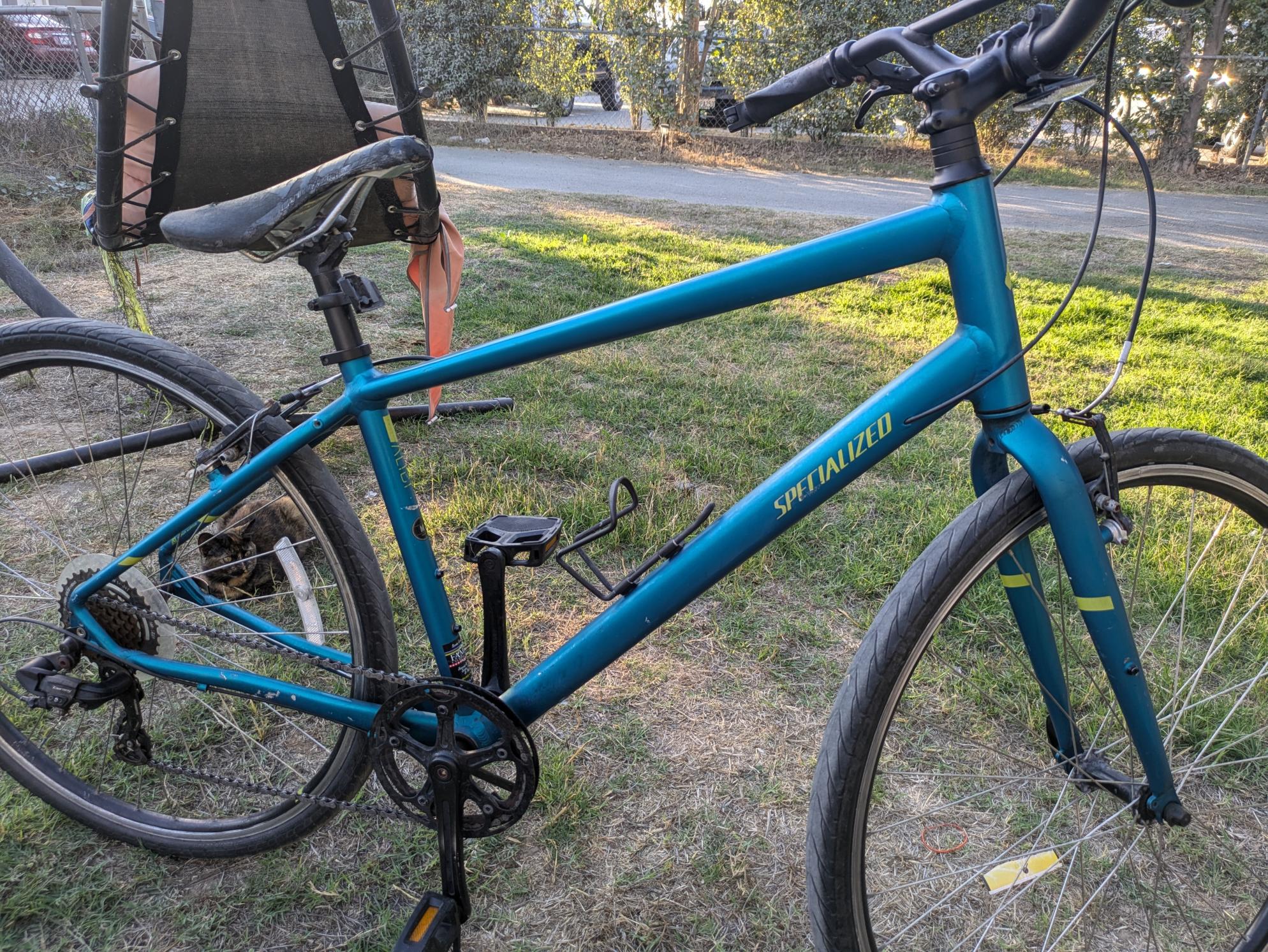 2019 Specialized Alibi Green