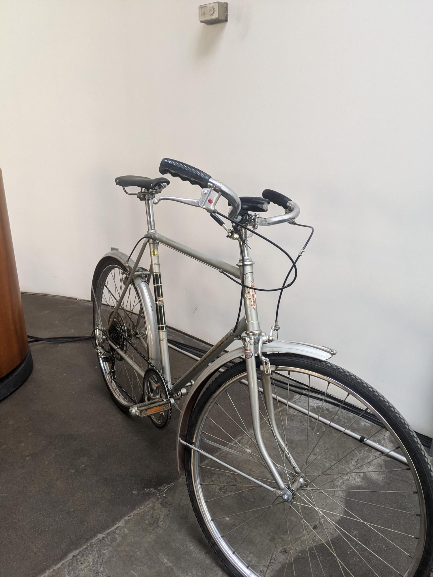 1973 Centurion sport 5 Silver, gray or bare metal