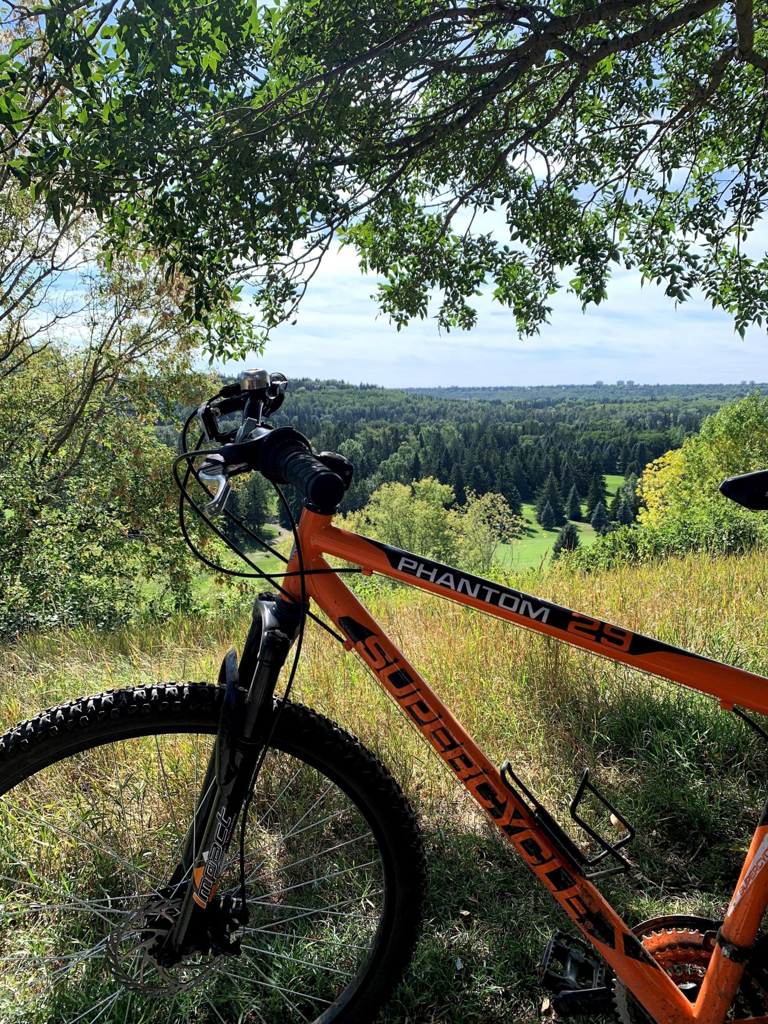 Supercycle Phantom 29 Orange