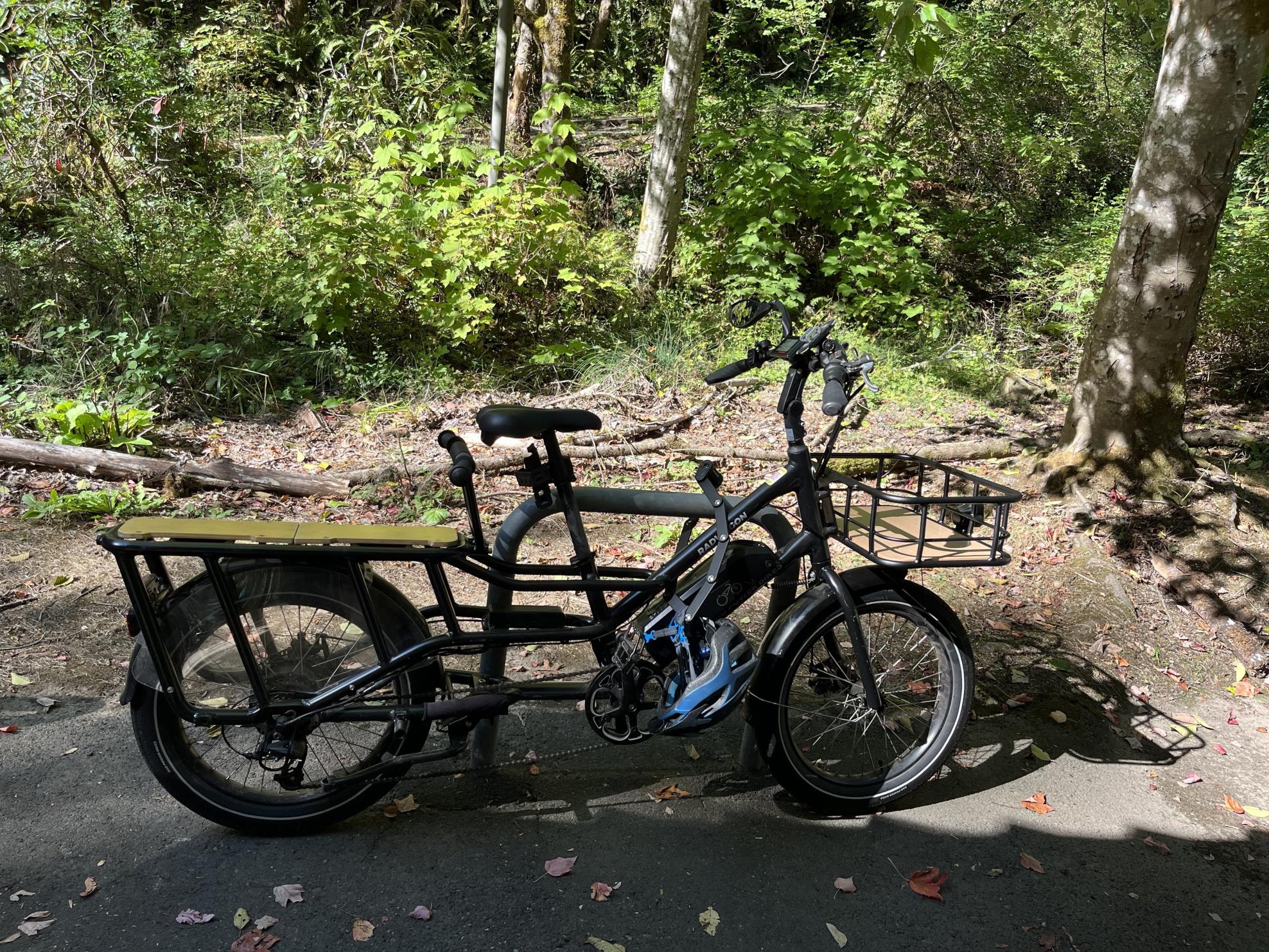 2022 Rad Power Bikes RadWagon Black