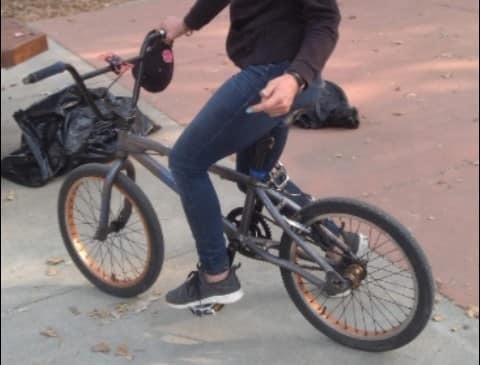 SE Bikes PK Ripper Silver, gray or bare metal