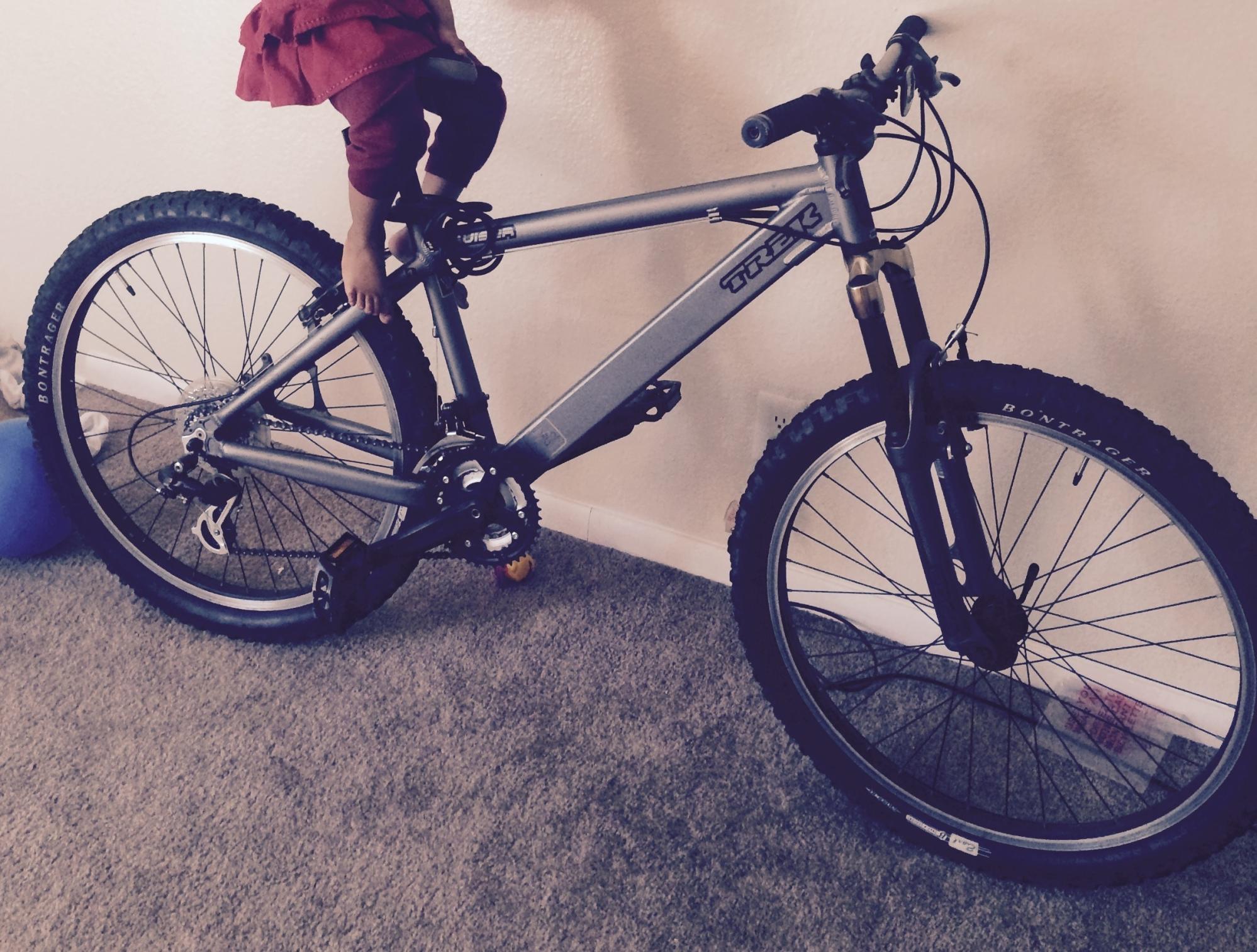 Trek Bruiser 1 Silver or Gray