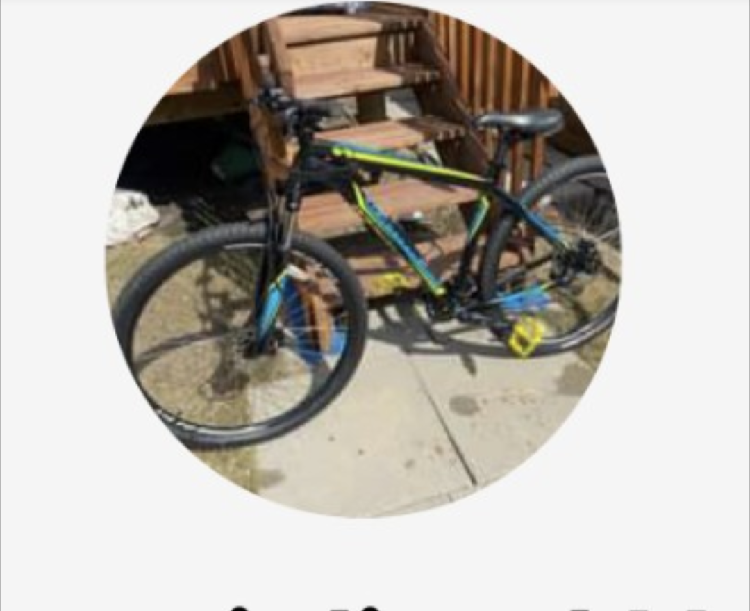 2024 Specialized Black, Blue, and Green