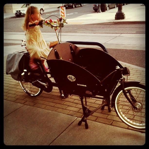 2013 Bakfiets fietsfabrik  Black