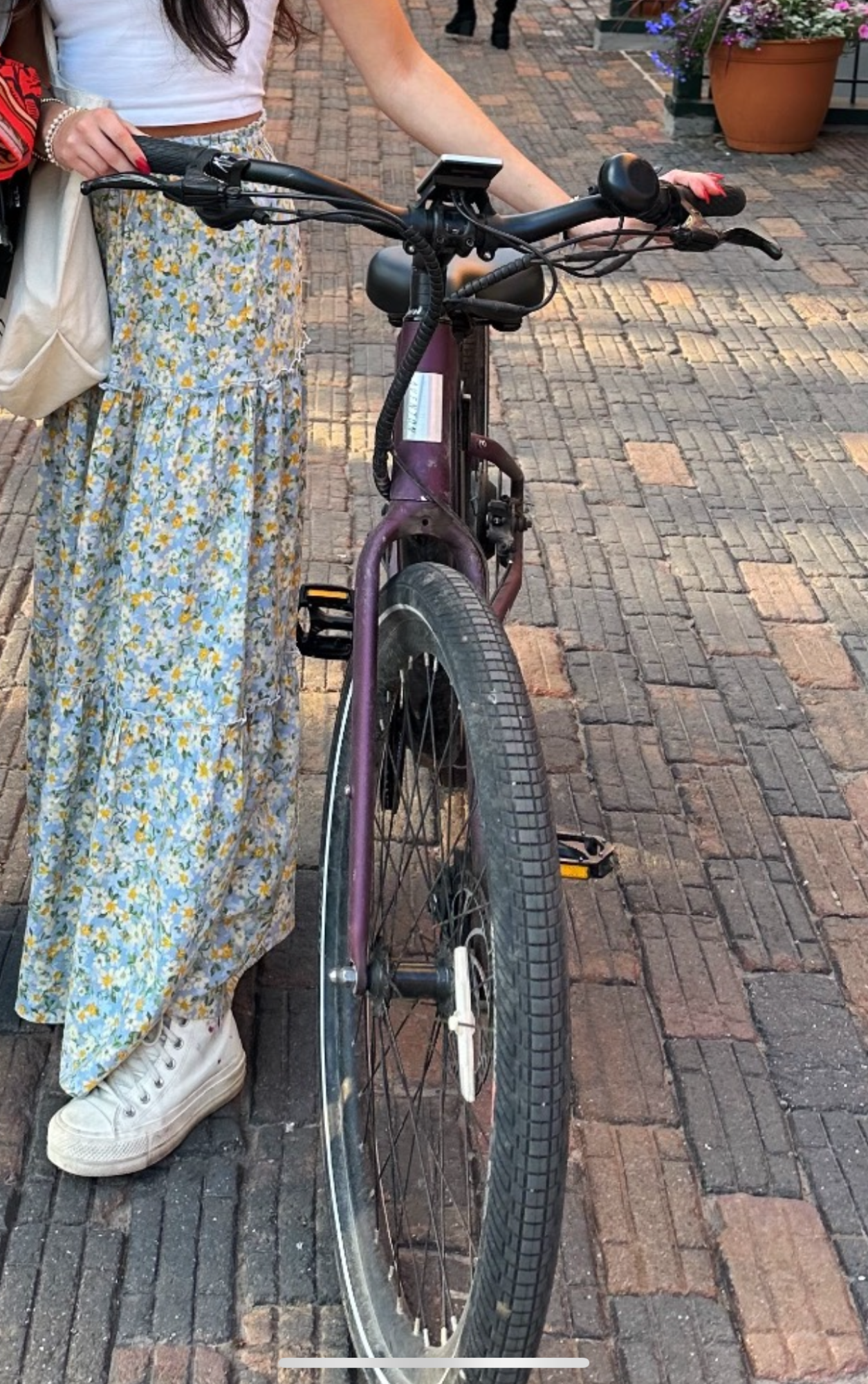 Aventón Pace 350 Purple