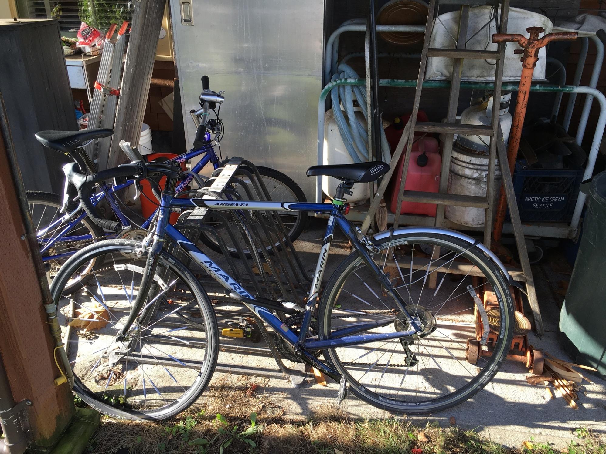 Marin Bikes Argenta Blue and Silver or Gray