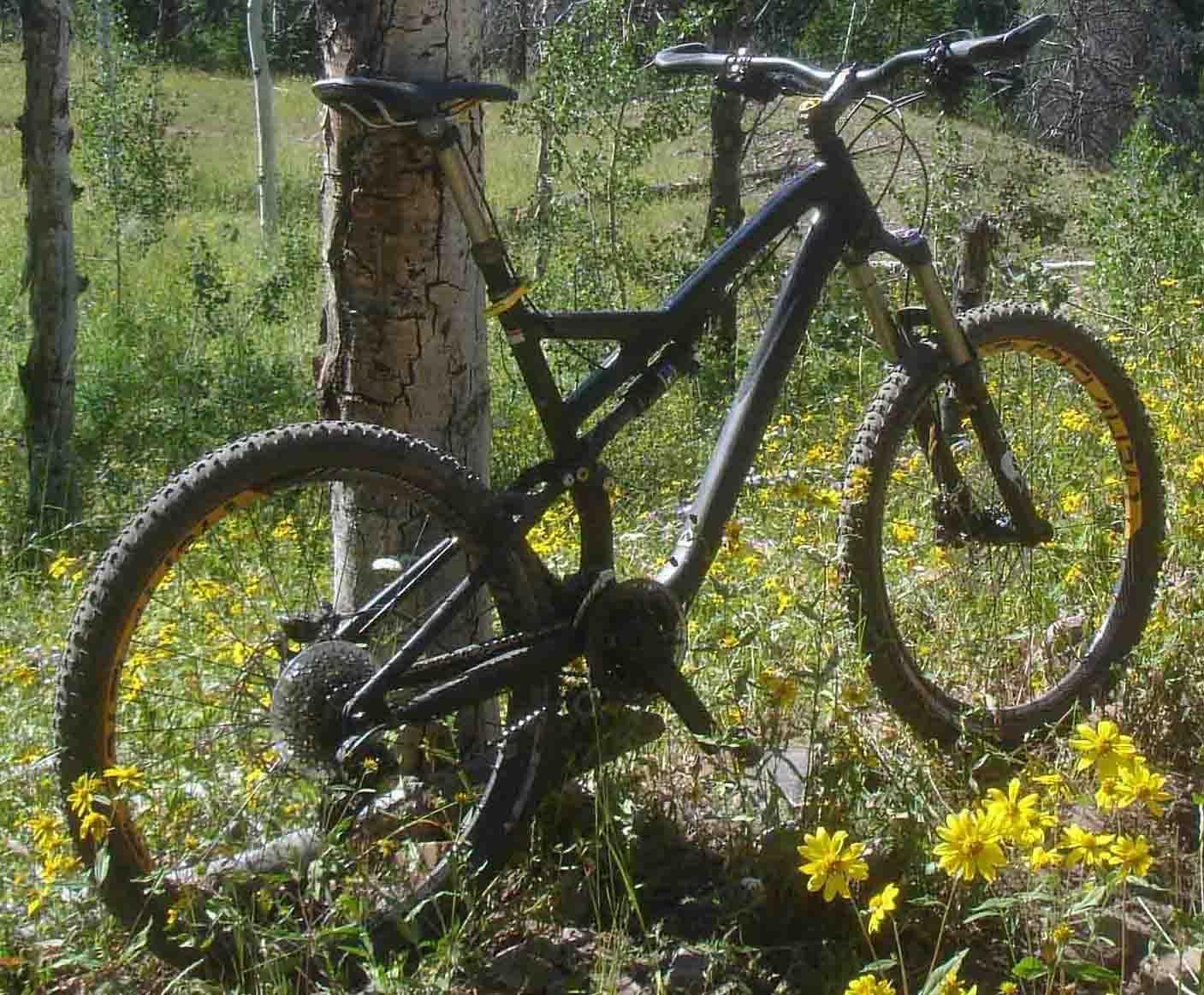 2011 Specialized Stumpjumper, Expert, Evo  Black