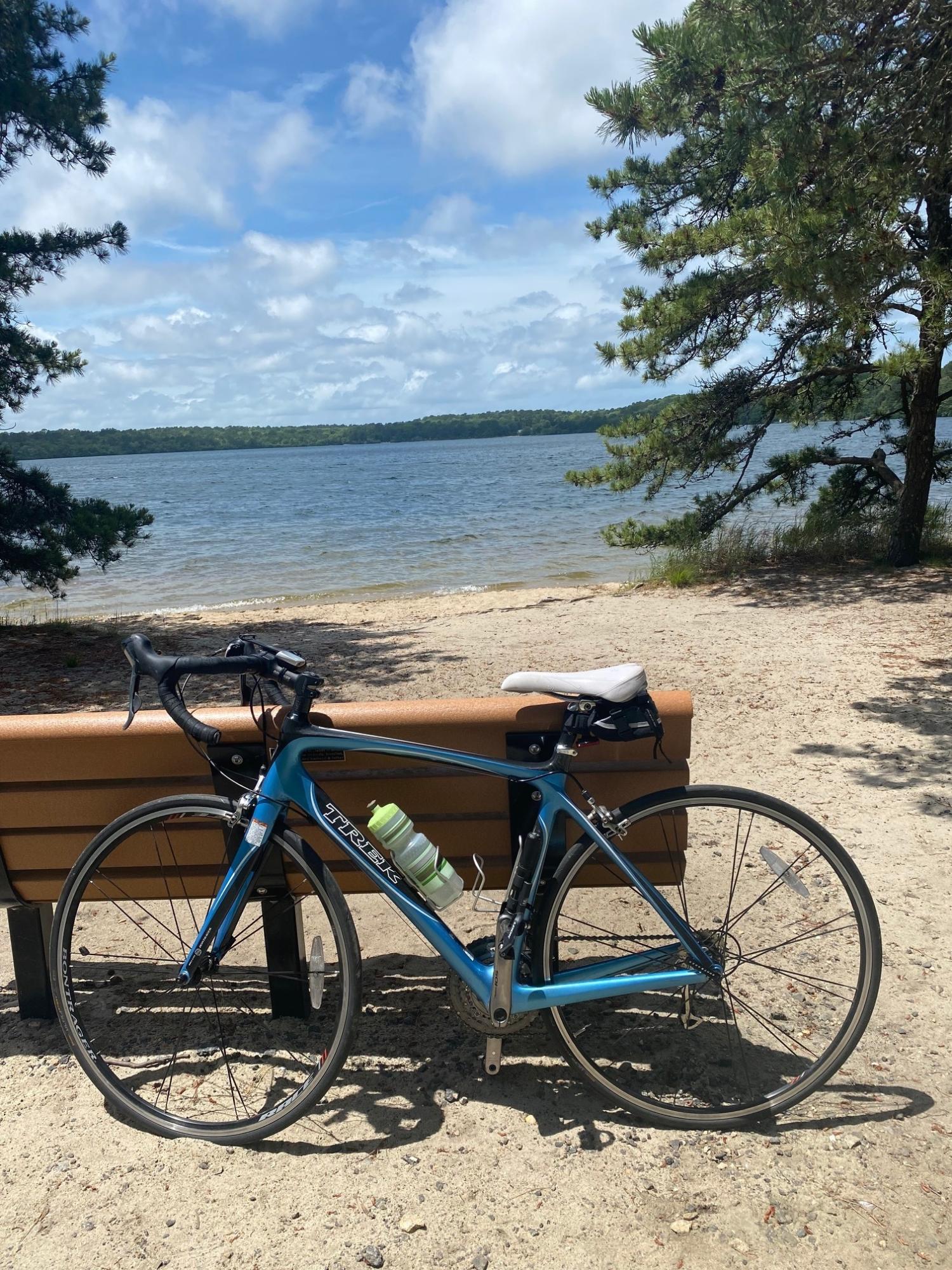 2010 Trek Madone 4.5 WSD Blue