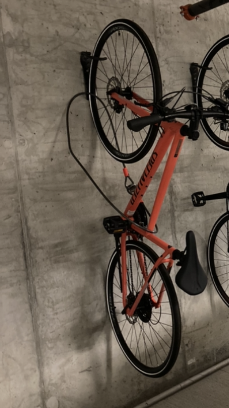 2020 Specialized Hybrid Orange