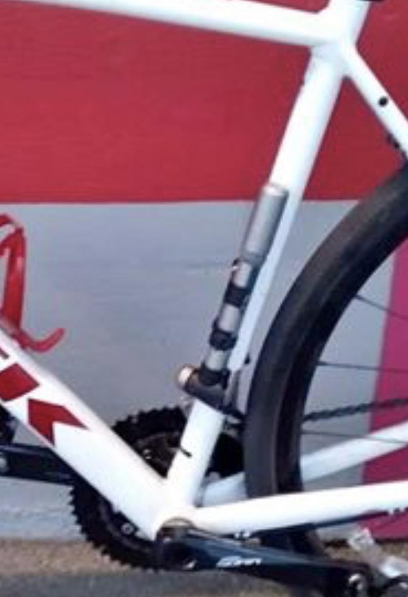 2022 Trek Domane AL 3 DISC-58 White, Black, and Red