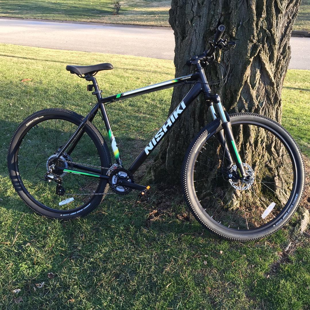 Nishiki Silver, gray or bare metal