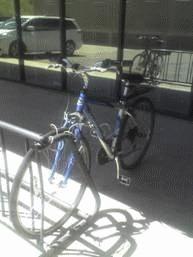 Trek  Blue