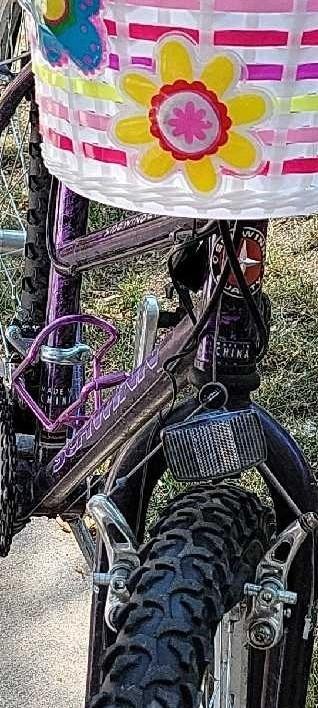 1995 Schwinn Sidewinder Purple