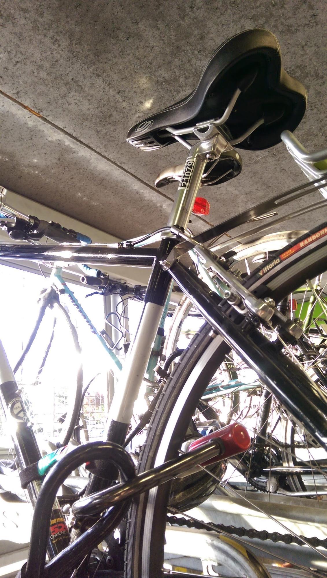 2012 Jamis Coda Sport Black