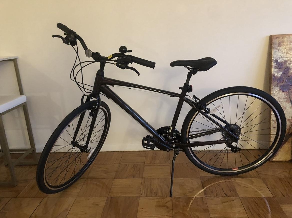 2021 Giant Escape Purple