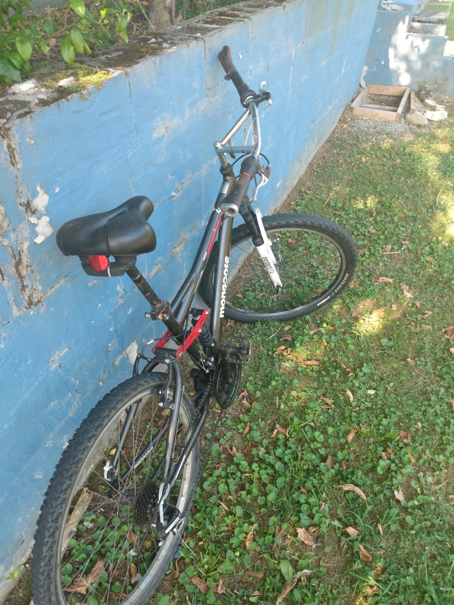 Mongoose Ledge 2.1 Silver, gray or bare metal and Red