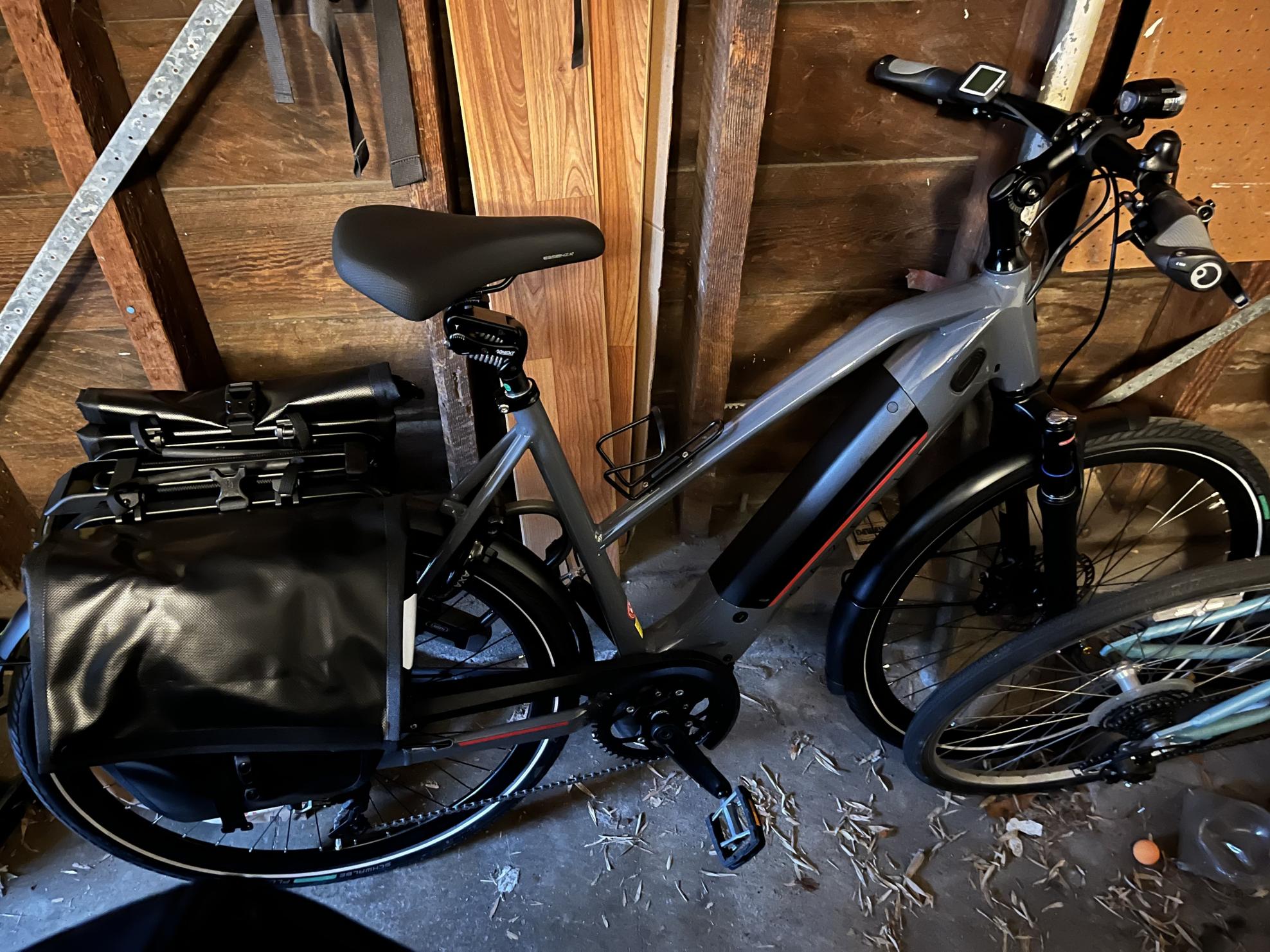 2021 Gazelle ultimate T10+ speed mid-step Silver, gray or bare metal