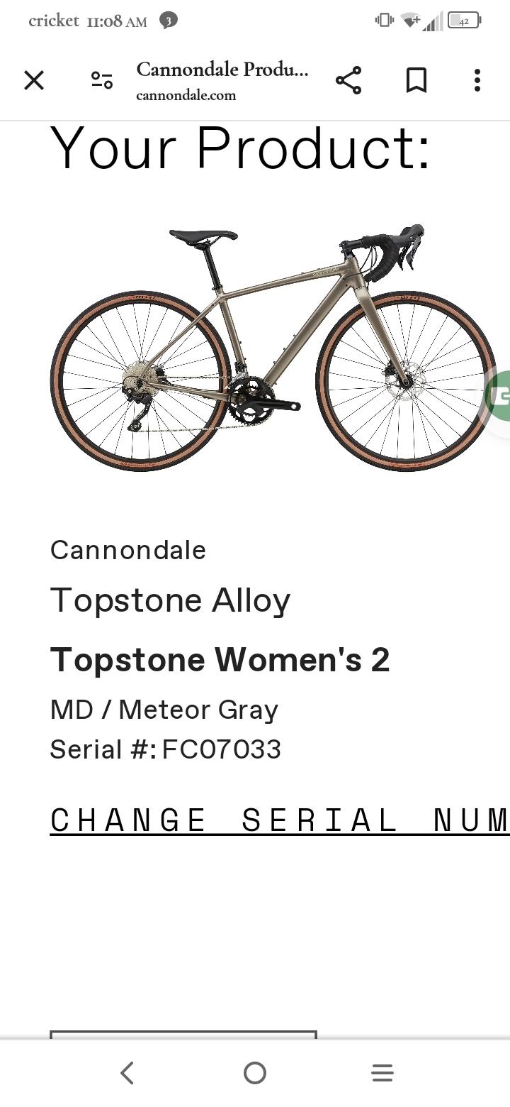 Cannondale Smart form c2 alloy Silver, gray or bare metal
